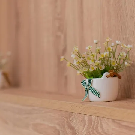 Apartment G&b Mansion