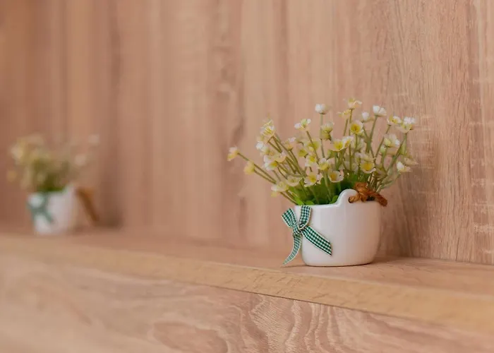 Apartamento G&b Mansion